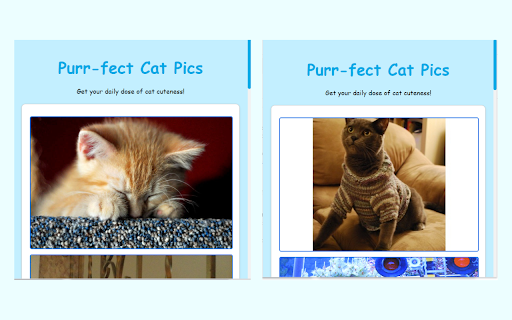 Purr fect Cat Pics from Chrome web store to be run with OffiDocs Chromium online Purr fect Cat Pics from Chrome web store to be run with OffiDocs Chromium online