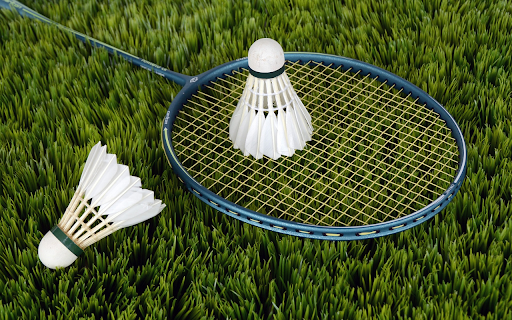 Racket on the court from Chrome web store to be run with OffiDocs Chromium online Racket on the court from Chrome web store to be run with OffiDocs Chromium online