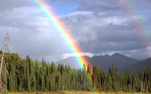 Rainbow of love from Chrome web store to be run with OffiDocs Chromium online Rainbow of love from Chrome web store to be run with OffiDocs Chromium online