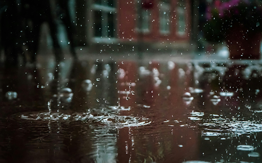 Raindrops delicately cling to the surface from Chrome web store to be run with OffiDocs Chromium online Raindrops delicately cling to the surface from Chrome web store to be run with OffiDocs Chromium online