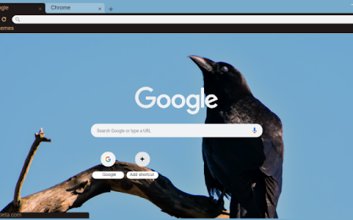 Raven from Chrome web store to be run with OffiDocs Chromium online Raven from Chrome web store to be run with OffiDocs Chromium online