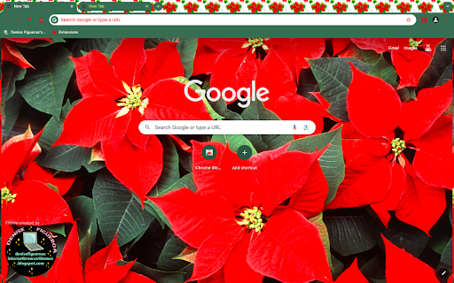 Red Poinsettia Flowers from Chrome web store to be run with OffiDocs Chromium online Red Poinsettia Flowers from Chrome web store to be run with OffiDocs Chromium online
