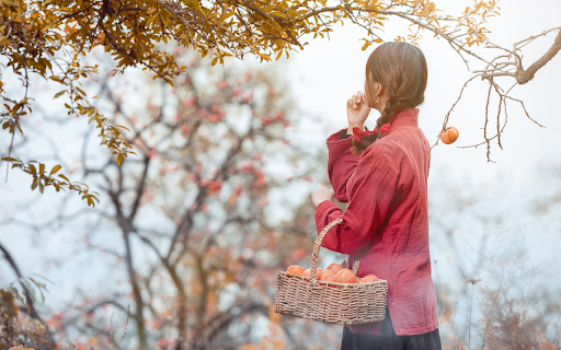 Red shirt girl and fruit basket from Chrome web store to be run with OffiDocs Chromium online Red shirt girl and fruit basket from Chrome web store to be run with OffiDocs Chromium online