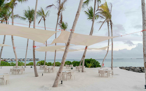 Relaxing under the coconut trees from Chrome web store to be run with OffiDocs Chromium online Relaxing under the coconut trees from Chrome web store to be run with OffiDocs Chromium online