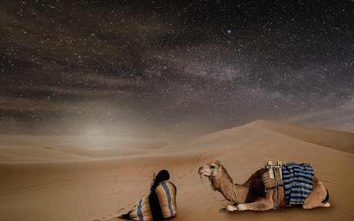 Rest in the desert from Chrome web store to be run with OffiDocs Chromium online Rest in the desert from Chrome web store to be run with OffiDocs Chromium online