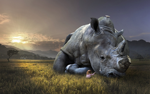 Rhino and pain from Chrome web store to be run with OffiDocs Chromium online Rhino and pain from Chrome web store to be run with OffiDocs Chromium online