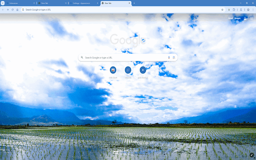 Rice Paddy Reflections from Chrome web store to be run with OffiDocs Chromium online Rice Paddy Reflections from Chrome web store to be run with OffiDocs Chromium online