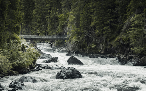 River in the Middle of Forest from Chrome web store to be run with OffiDocs Chromium online River in the Middle of Forest from Chrome web store to be run with OffiDocs Chromium online