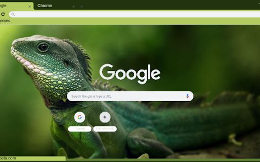 Rong dat from Chrome web store to be run with OffiDocs Chromium online Rong dat from Chrome web store to be run with OffiDocs Chromium online