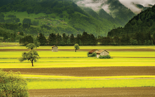 Rural Fields from Chrome web store to be run with OffiDocs Chromium online Rural Fields from Chrome web store to be run with OffiDocs Chromium online
