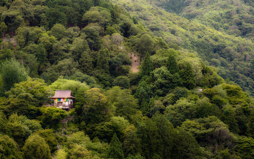 Sacred temple in deep forest from Chrome web store to be run with OffiDocs Chromium online Sacred temple in deep forest from Chrome web store to be run with OffiDocs Chromium online