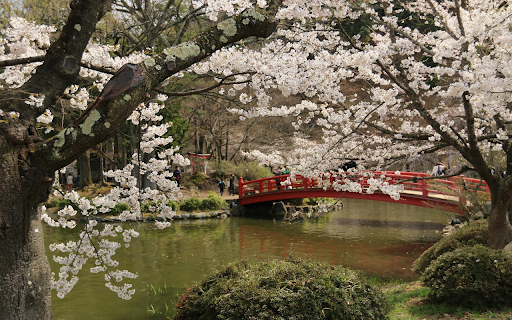 Sakura Blossoms from Chrome web store to be run with OffiDocs Chromium online Sakura Blossoms from Chrome web store to be run with OffiDocs Chromium online