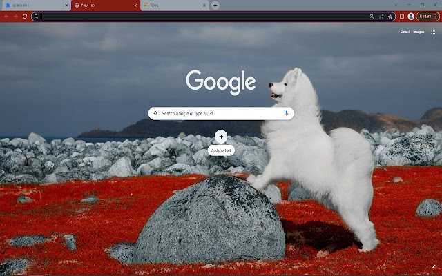 Samoyed Browser Theme from Chrome web store to be run with OffiDocs Chromium online Samoyed Browser Theme from Chrome web store to be run with OffiDocs Chromium online