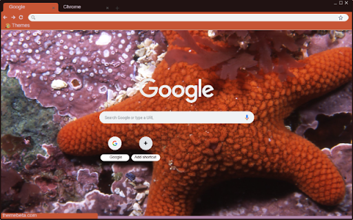 Sao Bien from Chrome web store to be run with OffiDocs Chromium online Sao Bien from Chrome web store to be run with OffiDocs Chromium online