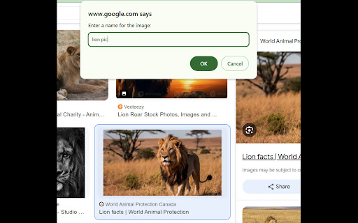Save Image in Multiple Formats from Chrome web store to be run with OffiDocs Chromium online Save Image in Multiple Formats from Chrome web store to be run with OffiDocs Chromium online