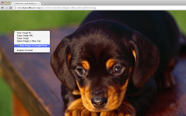Save to Google Drive from Chrome web store to be run with OffiDocs Chromium online Save to Google Drive from Chrome web store to be run with OffiDocs Chromium online