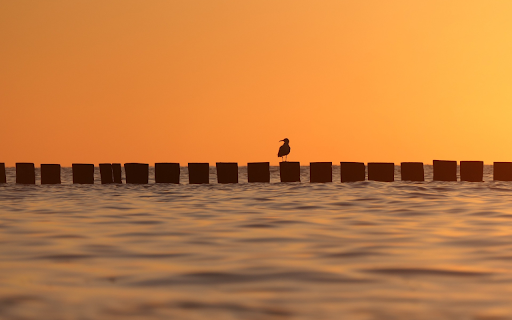 Sea embankment from Chrome web store to be run with OffiDocs Chromium online Sea embankment from Chrome web store to be run with OffiDocs Chromium online