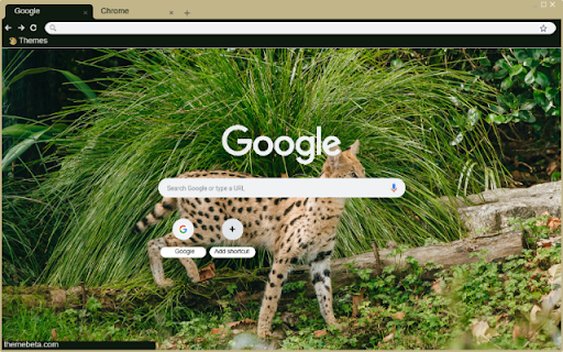 Serval from Chrome web store to be run with OffiDocs Chromium online Serval from Chrome web store to be run with OffiDocs Chromium online