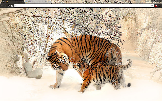 Siberian Tigers from Chrome web store to be run with OffiDocs Chromium online Siberian Tigers from Chrome web store to be run with OffiDocs Chromium online