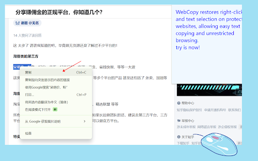 simple web copy from Chrome web store to be run with OffiDocs Chromium online simple web copy from Chrome web store to be run with OffiDocs Chromium online