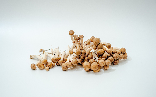Small, sweet smelling mushrooms from Chrome web store to be run with OffiDocs Chromium online Small, sweet smelling mushrooms from Chrome web store to be run with OffiDocs Chromium online