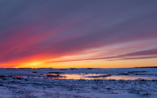 Snow field from Chrome web store to be run with OffiDocs Chromium online Snow field from Chrome web store to be run with OffiDocs Chromium online