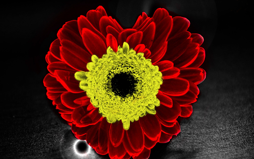 Special flower from Chrome web store to be run with OffiDocs Chromium online Special flower from Chrome web store to be run with OffiDocs Chromium online