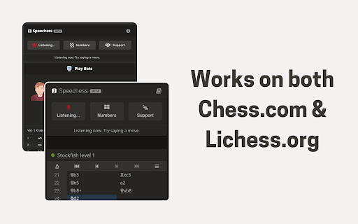 Speechess from Chrome web store to be run with OffiDocs Chromium online Speechess from Chrome web store to be run with OffiDocs Chromium online