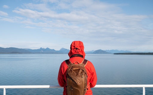 Standing and looking at the sea from Chrome web store to be run with OffiDocs Chromium online Standing and looking at the sea from Chrome web store to be run with OffiDocs Chromium online