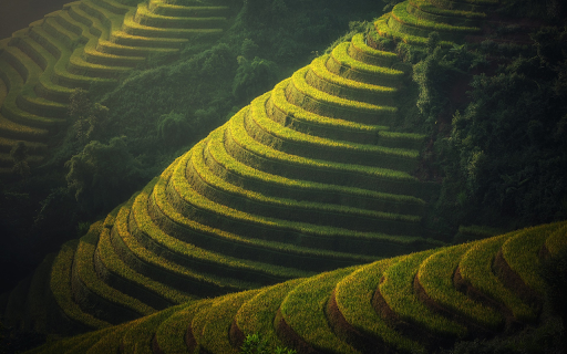 Steep terraced fields from Chrome web store to be run with OffiDocs Chromium online Steep terraced fields from Chrome web store to be run with OffiDocs Chromium online