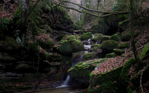 streams and mossy rocks from Chrome web store to be run with OffiDocs Chromium online streams and mossy rocks from Chrome web store to be run with OffiDocs Chromium online