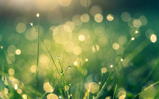 Sunlight from Chrome web store to be run with OffiDocs Chromium online Sunlight from Chrome web store to be run with OffiDocs Chromium online