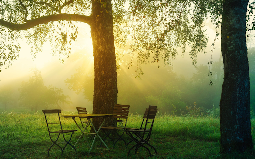 Sunrise Garden Retreat from Chrome web store to be run with OffiDocs Chromium online Sunrise Garden Retreat from Chrome web store to be run with OffiDocs Chromium online