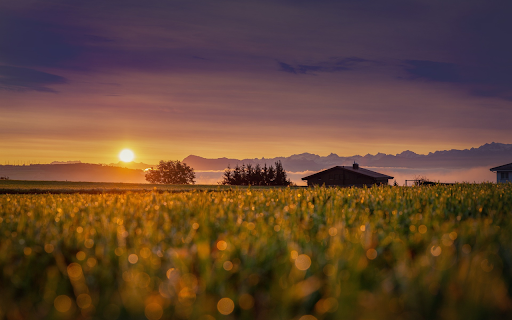 sunset in the fields from Chrome web store to be run with OffiDocs Chromium online sunset in the fields from Chrome web store to be run with OffiDocs Chromium online