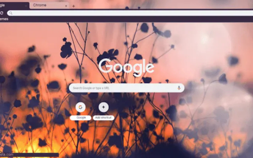 Sunset on the Field from Chrome web store to be run with OffiDocs Chromium online Sunset on the Field from Chrome web store to be run with OffiDocs Chromium online