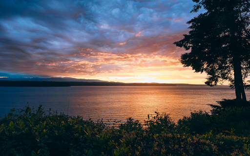 Sun Setting Over Water with a Tree from Chrome web store to be run with OffiDocs Chromium online Sun Setting Over Water with a Tree from Chrome web store to be run with OffiDocs Chromium online