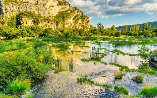 Swamp from Chrome web store to be run with OffiDocs Chromium online Swamp from Chrome web store to be run with OffiDocs Chromium online