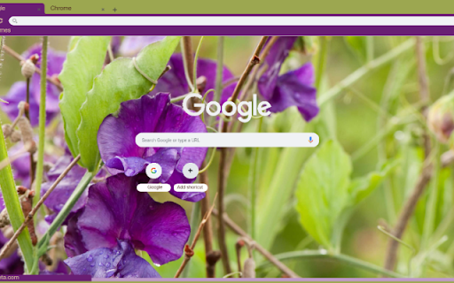 Sweet Pea from Chrome web store to be run with OffiDocs Chromium online Sweet Pea from Chrome web store to be run with OffiDocs Chromium online