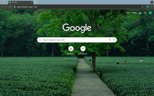 Tea hills and lonely trees from Chrome web store to be run with OffiDocs Chromium online Tea hills and lonely trees from Chrome web store to be run with OffiDocs Chromium online