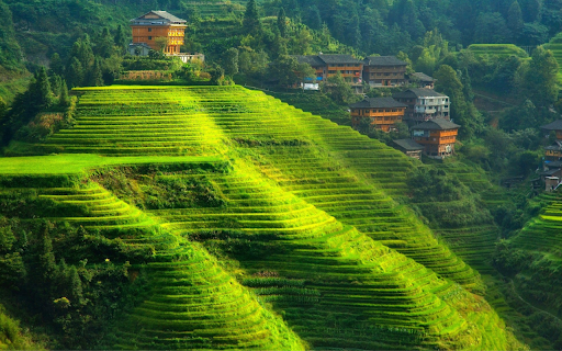 Terraced Fields and Village from Chrome web store to be run with OffiDocs Chromium online Terraced Fields and Village from Chrome web store to be run with OffiDocs Chromium online