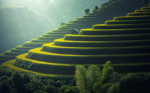 Terraced Fields Serenity from Chrome web store to be run with OffiDocs Chromium online Terraced Fields Serenity from Chrome web store to be run with OffiDocs Chromium online