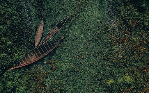 The boat is like a locust from Chrome web store to be run with OffiDocs Chromium online The boat is like a locust from Chrome web store to be run with OffiDocs Chromium online