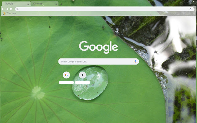 The Floating Water Lily Leaf from Chrome web store to be run with OffiDocs Chromium online The Floating Water Lily Leaf from Chrome web store to be run with OffiDocs Chromium online