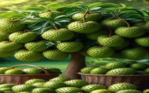 thorny fruit wallpaper from Chrome web store to be run with OffiDocs Chromium online thorny fruit wallpaper from Chrome web store to be run with OffiDocs Chromium online