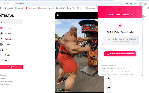 TikTok video watermark free downloader from Chrome web store to be run with OffiDocs Chromium online TikTok video watermark free downloader from Chrome web store to be run with OffiDocs Chromium online