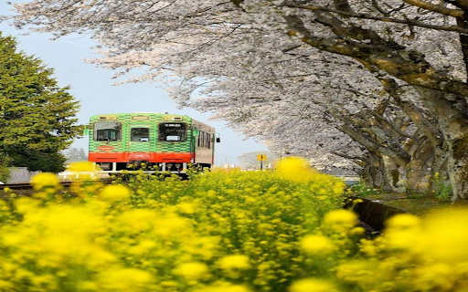 Train among the flower forest wallpapers from Chrome web store to be run with OffiDocs Chromium online Train among the flower forest wallpapers from Chrome web store to be run with OffiDocs Chromium online