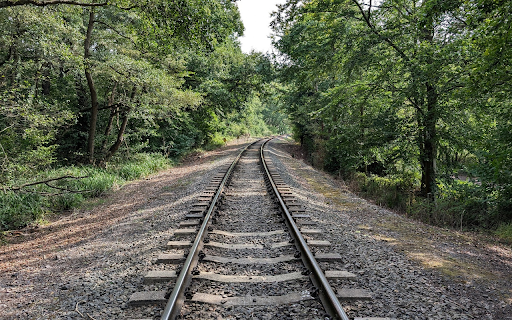 Train track through the forest from Chrome web store to be run with OffiDocs Chromium online Train track through the forest from Chrome web store to be run with OffiDocs Chromium online
