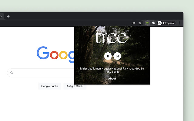tree.fm listen to a random forest from Chrome web store to be run with OffiDocs Chromium online tree.fm listen to a random forest from Chrome web store to be run with OffiDocs Chromium online