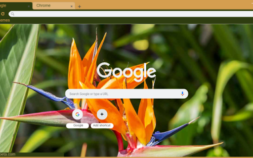 Tropical Bird of Paradise from Chrome web store to be run with OffiDocs Chromium online Tropical Bird of Paradise from Chrome web store to be run with OffiDocs Chromium online