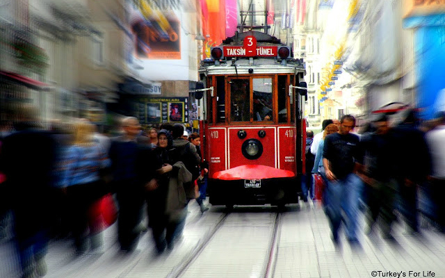 Turkeys For Life from Chrome web store to be run with OffiDocs Chromium online Turkeys For Life from Chrome web store to be run with OffiDocs Chromium online